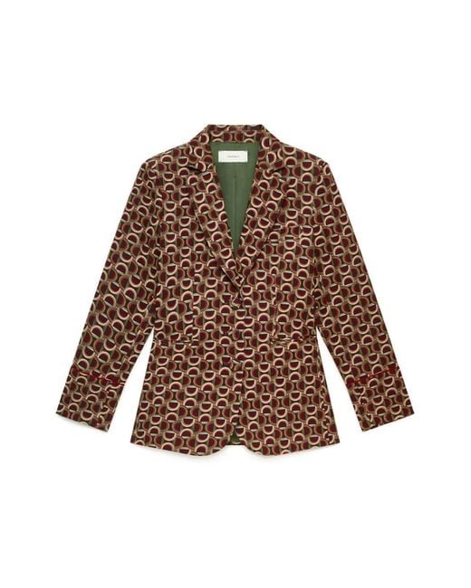 Maliparmi Brown Blazers