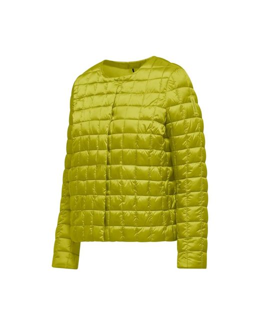 Winter Jackets Bomboogie de color Green