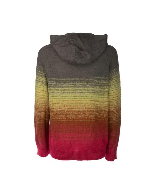 Laneus Multicolor Hoodies for men
