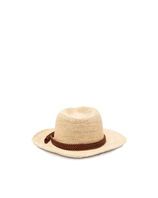 Hats Dragon Diffusion en coloris Natural