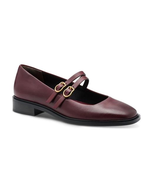 Tamaris Ballerinas in het Brown