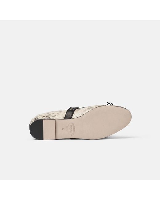 Scarosso Gray Ballerinas