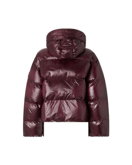 Pinko Purple Winter Jackets