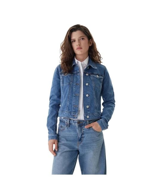Tommy Hilfiger Blue Denim Jackets