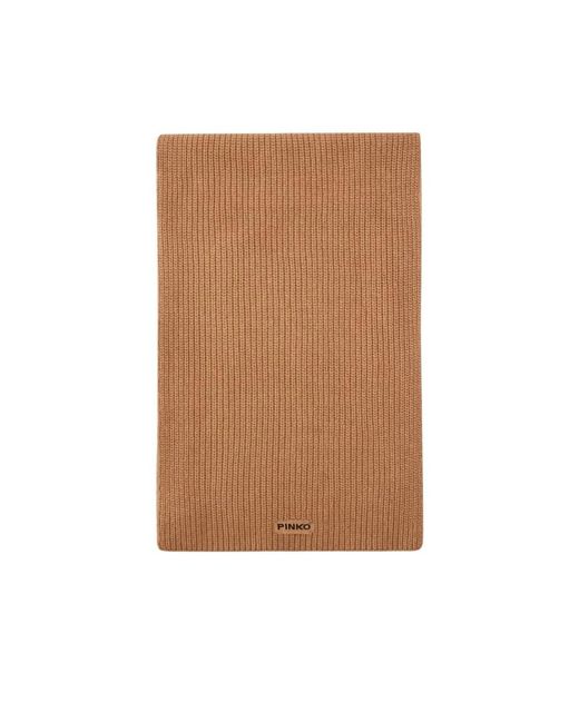 Pinko Brown Winter Scarves