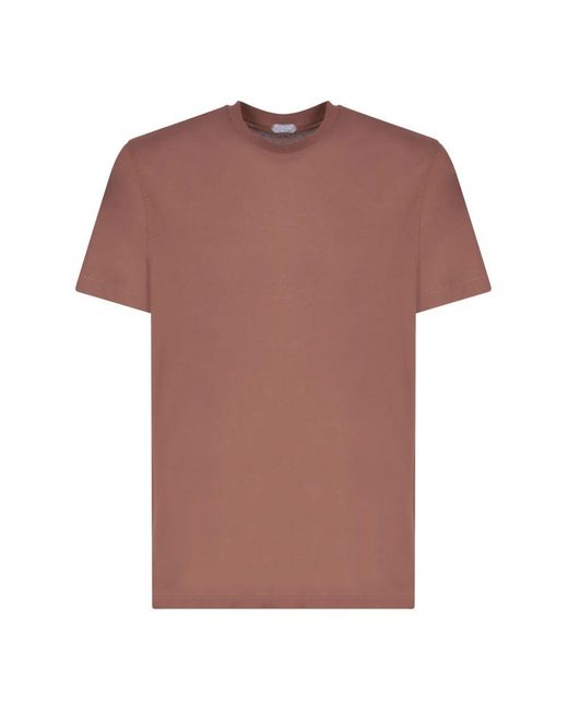 Zanone Braun t-shirts & polos ss24 in Pink für Herren