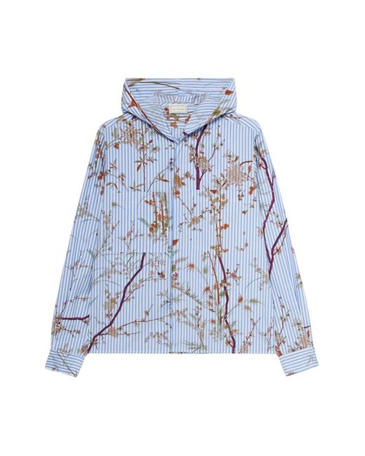 Pierre Louis Mascia Blue Casual Shirts for men