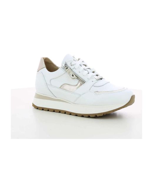 Footnotes Hilda 31.008 in het White