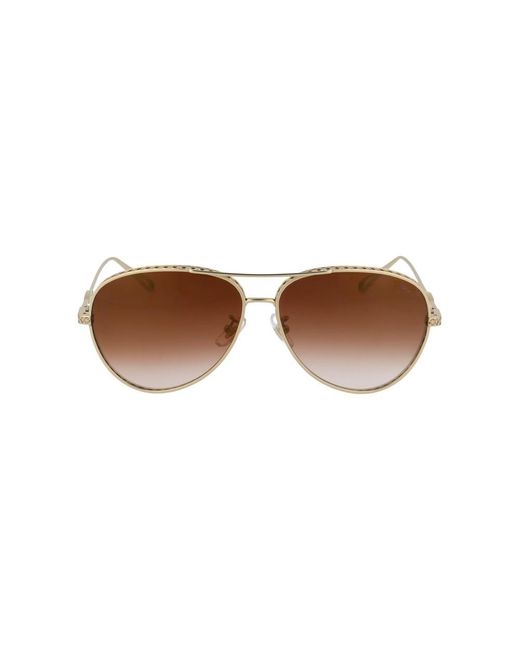 Sunglasses schc86m 8feg di Chopard in Brown