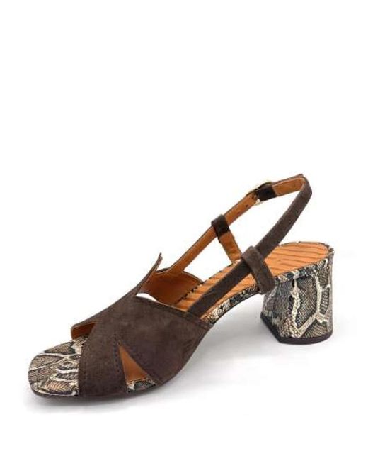 Chie Mihara Brown High Heel Sandals