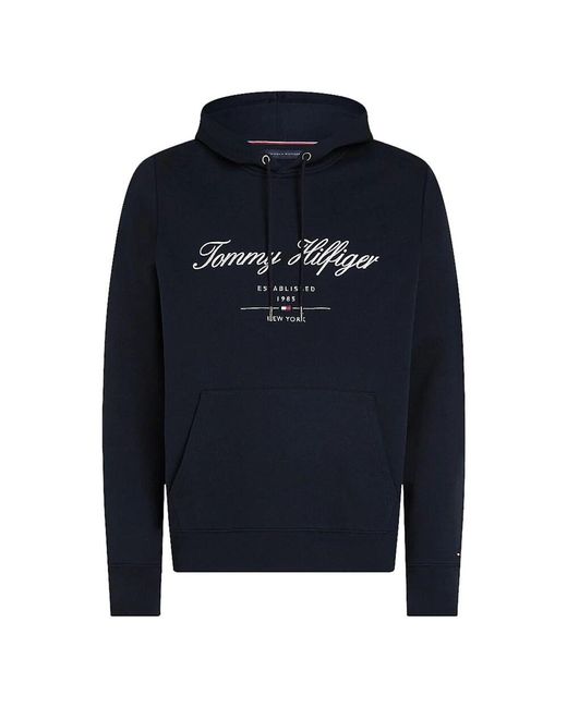 Tommy Hilfiger Wüstenhimmel script logo hoody in Blue für Herren