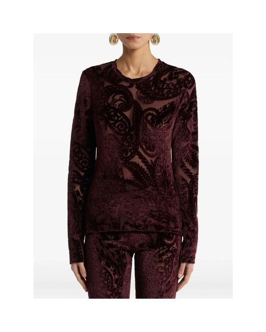 Etro Brown Round-Neck Knitwear