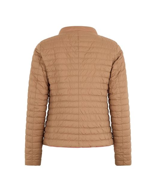 Down Jackets Herno en coloris Brown