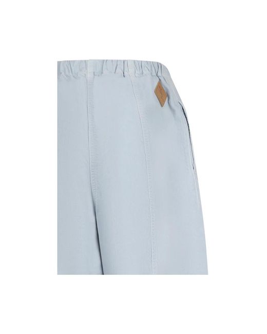 Haikure Blue Wide Trousers