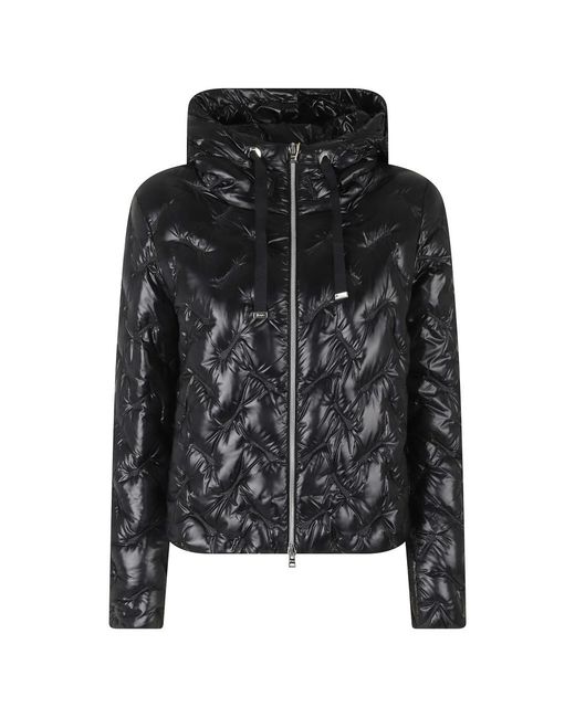 Winter Jackets Herno de color Black