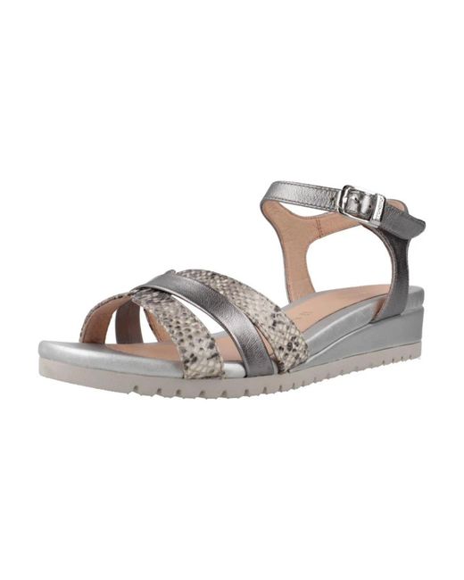 Stonefly Wedges in het Gray