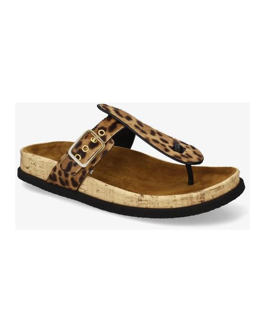 Flip Flops Premiata en coloris Brown