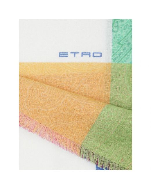 Etro Blue Scarves