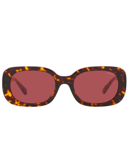 COACH Brown Sunglasses
