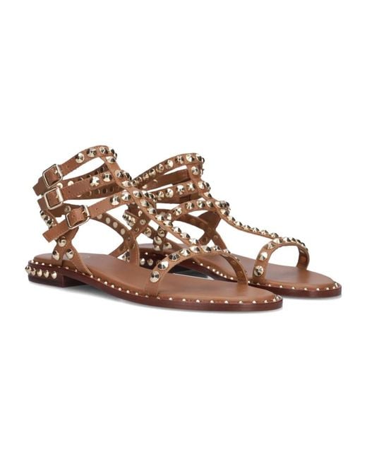 Ash Brown Flat Sandals