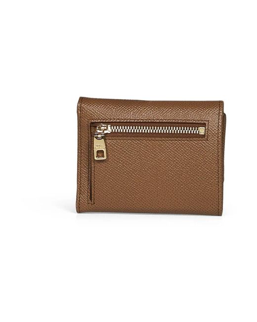 Dolce & Gabbana Brown Wallets & Cardholders