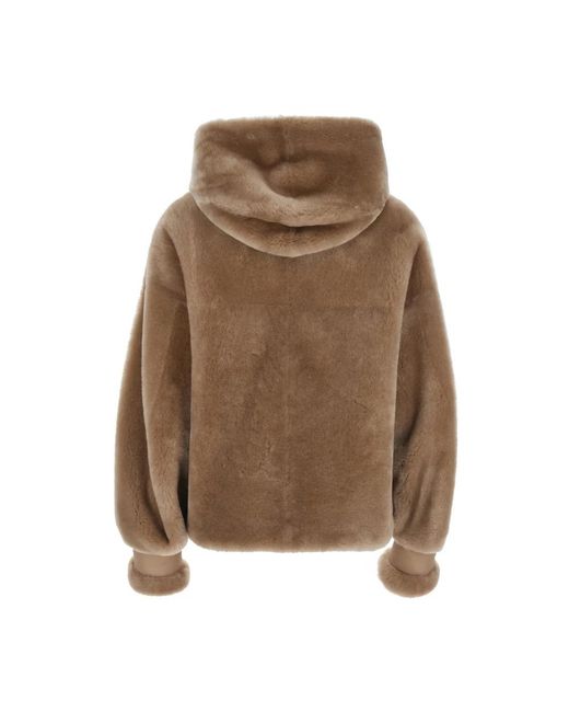 Blancha Donsjas Van Nepbont in het Brown
