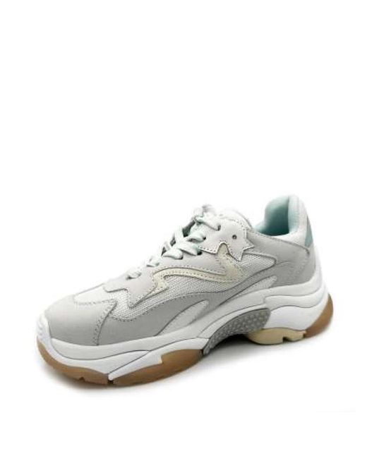Ash Gray Sneakers