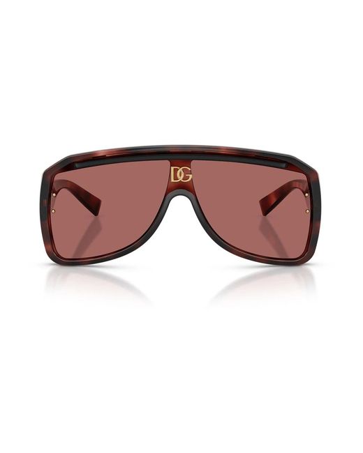 Dolce & Gabbana Brown Sunglasses