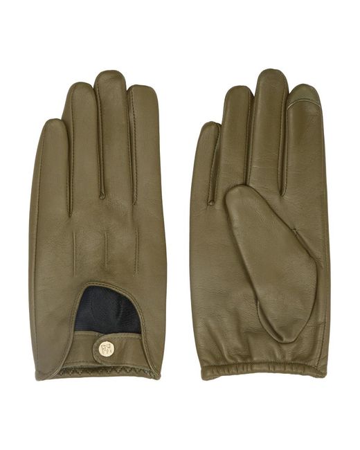 Gloves di Kazar in Green