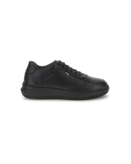 Stonefly Black Sneakers for men