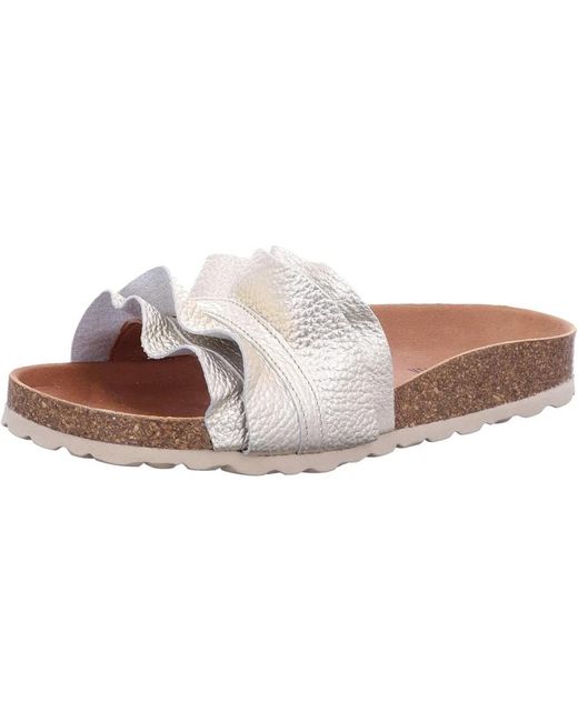 Verbenas Gray Sliders