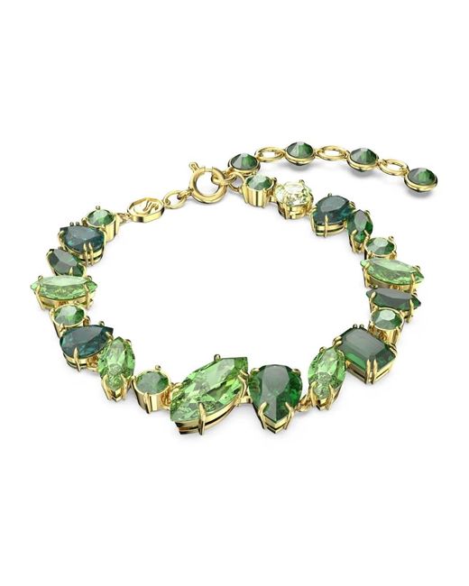 Swarovski Gema Armband in het Green