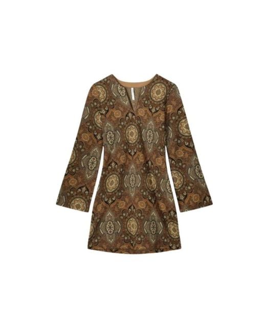 Summum Brown Summer Dresses