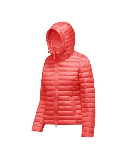 Winter Jackets Bomboogie de color Red
