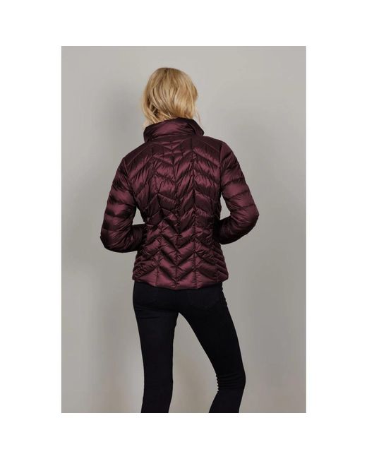 Junge Down Jackets in het Purple