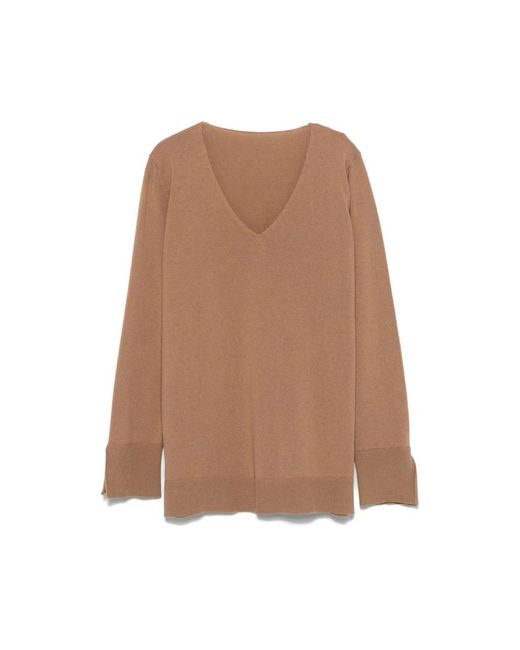 Le Tricot Perugia Brown V-Neck Knitwear