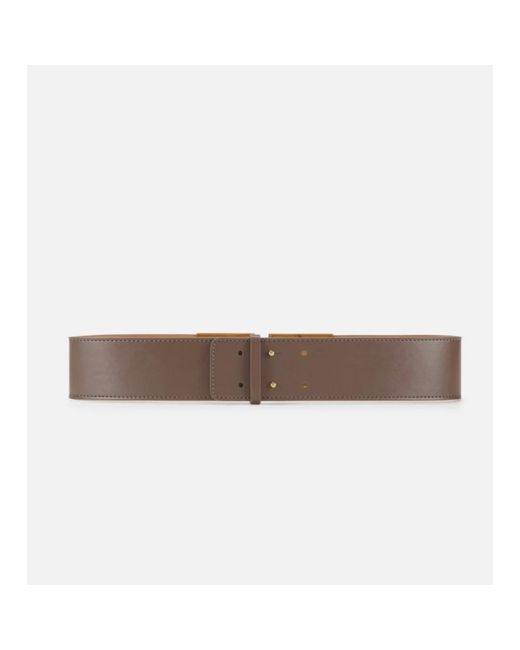 Elisabetta Franchi Brown Belts