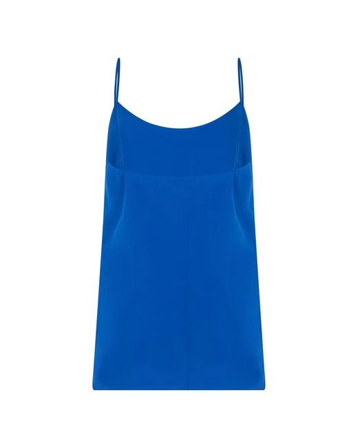 Alberta Ferretti Blue Sleeveless Tops