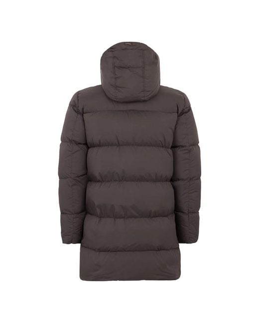 Down Coats Herno de hombre de color Brown