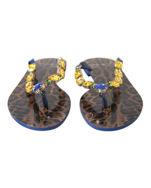 Dolce & Gabbana Flip Flops in het Blue
