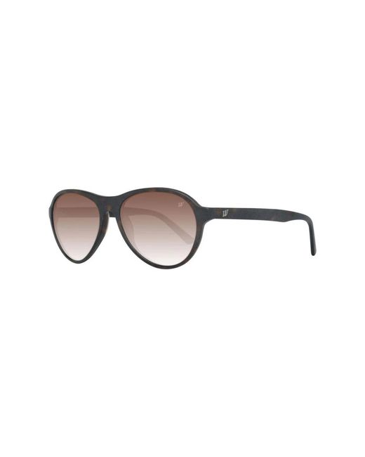 WEB EYEWEAR Brown Sunglasses