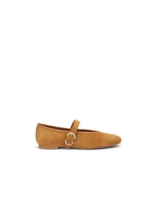 Frau Brown Ballerina Shoes