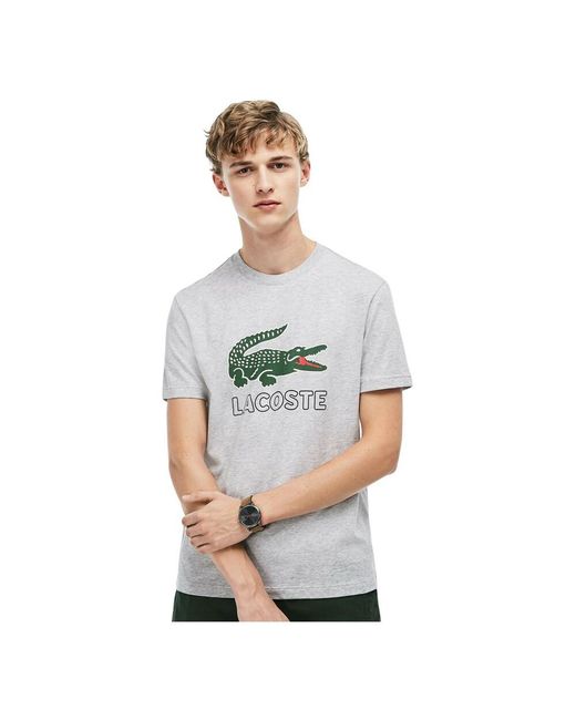 tshirt lacoste gris