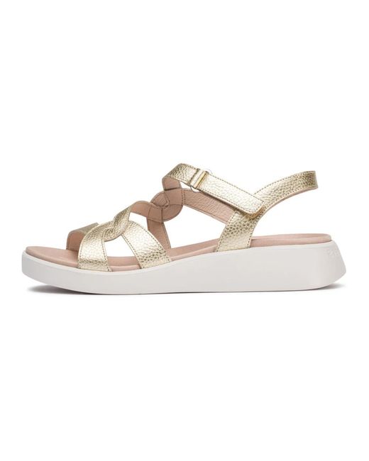 Wedges Wonders de color Metallic