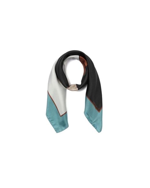 Coccinelle Blue Silk Scarves