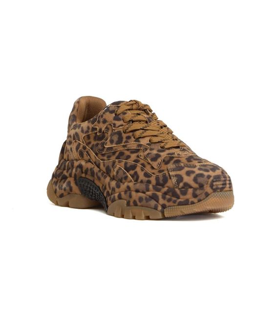 Ash Brown Addict Sneaker