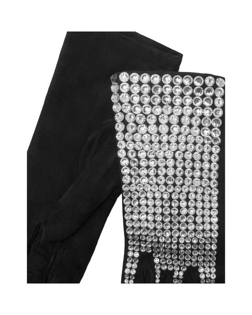 Gloves di Philipp Plein in Black