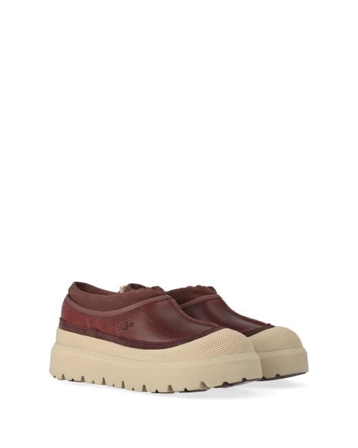 Ugg Brown Winter Boots for men