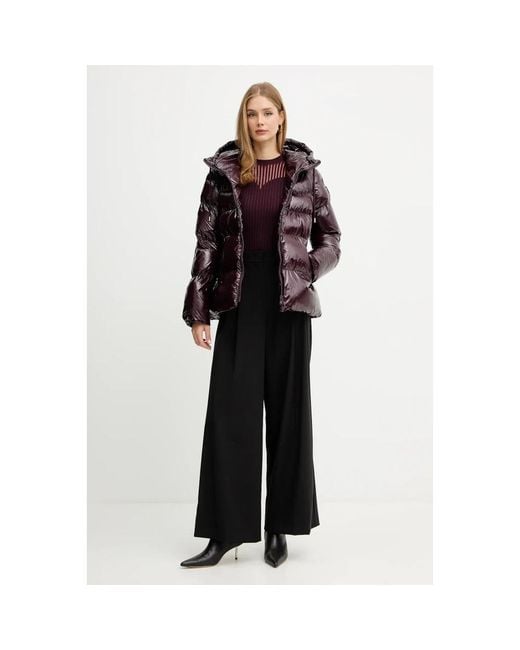 Winter Jackets Pinko de color Brown