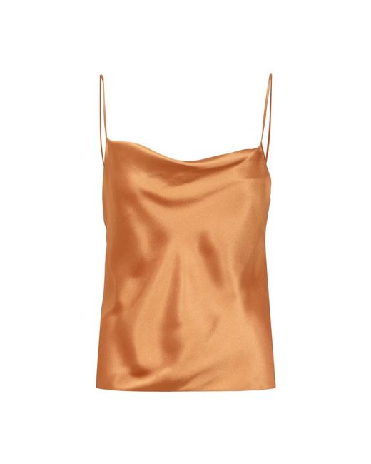 Alberta Ferretti Brown Sleeveless Tops